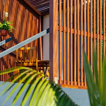 Апартаменты Faja - Ash